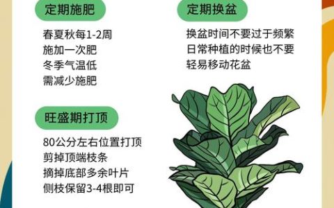 家里种树怎么选？科学选树与养护全指南