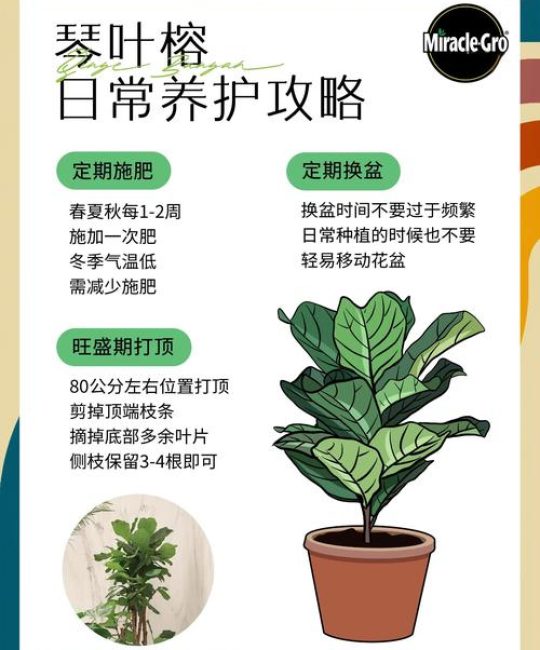 家里种树怎么选？科学选树与养护全指南
