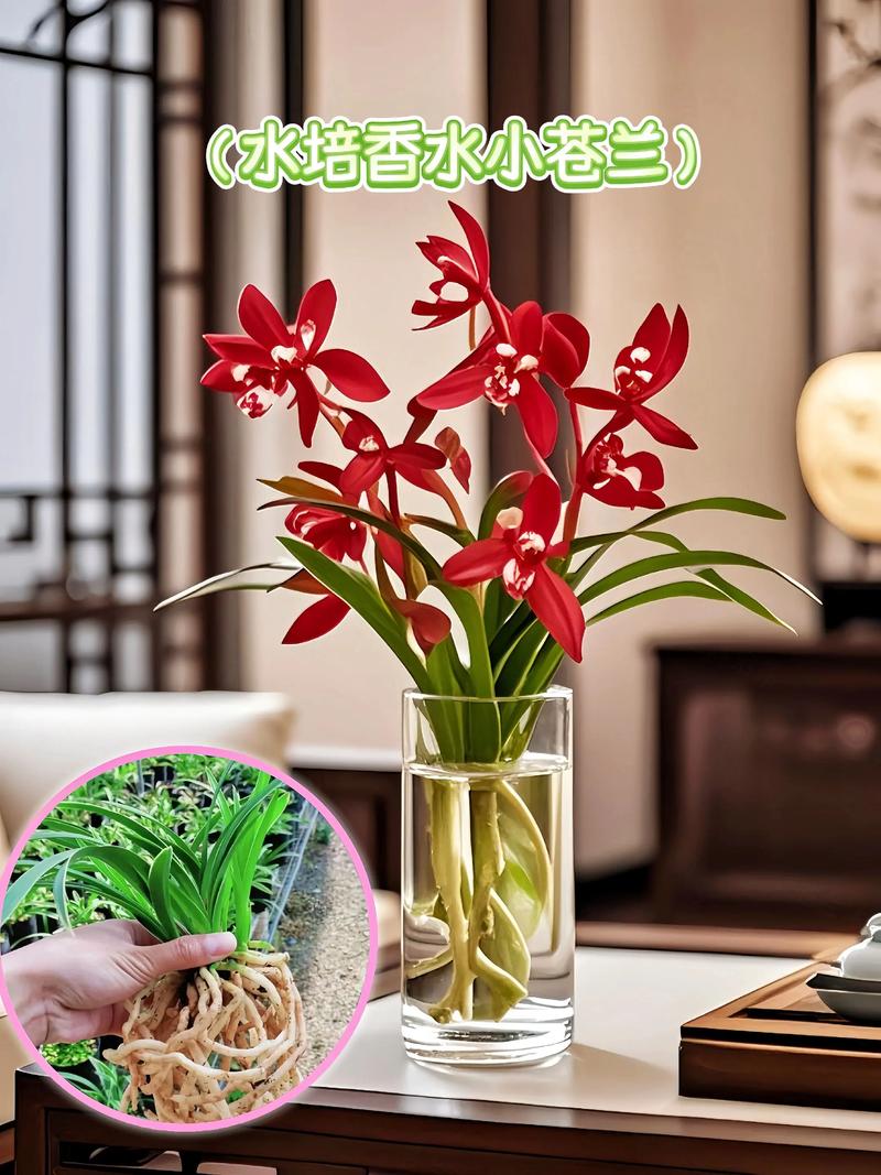 常见错误与解决方案