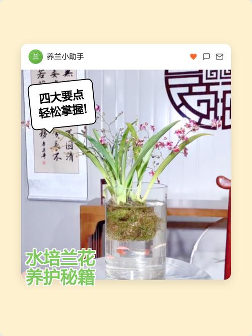 总结