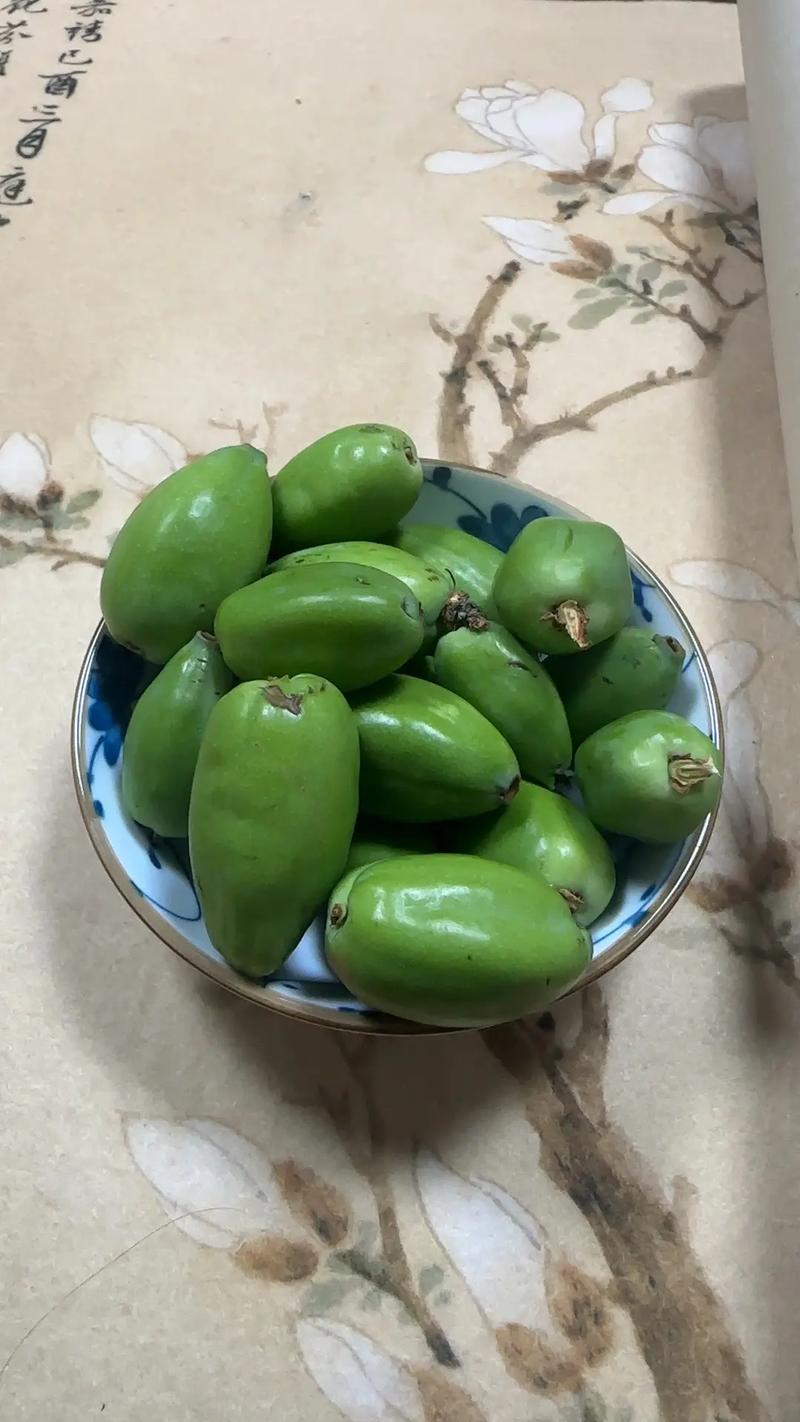 木瓜种子发芽全攻略:从选种到移栽,7个步骤让出芽率超过90% 7. 移栽决策:时机与操作