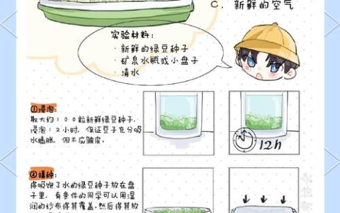 苦草怎么繁殖？种子育苗与分株扩繁全流程技术指南