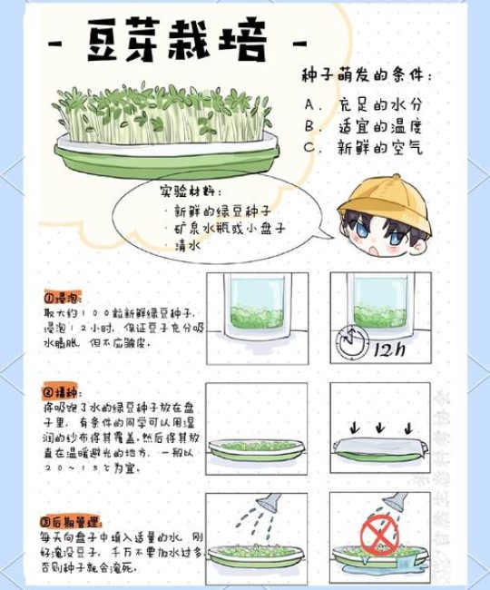 苦草怎么繁殖？种子育苗与分株扩繁全流程技术指南