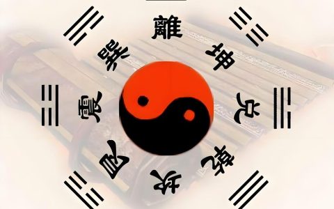 六爻和梅花哪个厉害？——园艺风水中的玄学对决