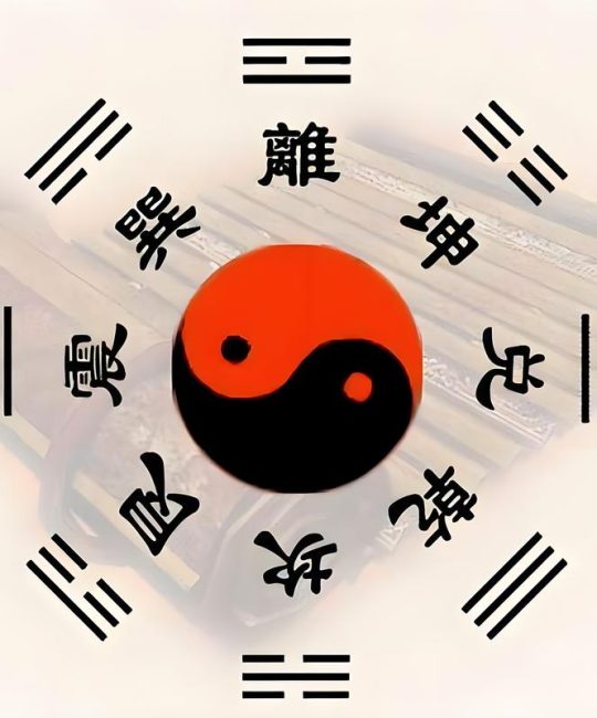 六爻和梅花哪个厉害？——园艺风水中的玄学对决