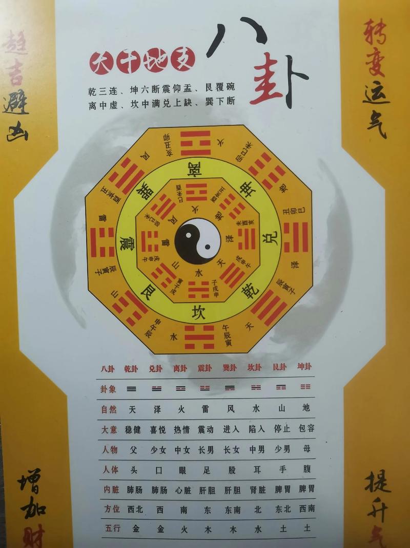六爻和梅花哪个厉害?——园艺风水中的玄学对决 四、实战建议:园艺爱好者如何选择?