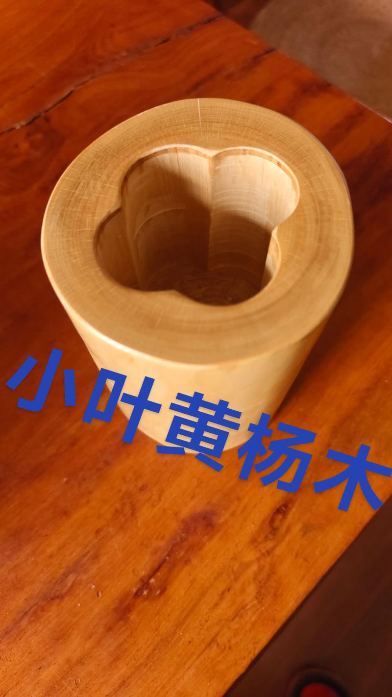 黄杨培育对木材品质的量化影响