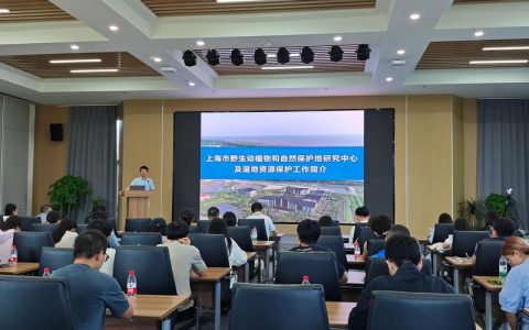 上海市水生野生动植物保护研究中心：湿地生态修复与水生植物养护权威指南