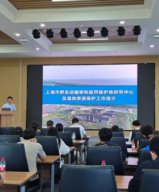 上海市水生野生动植物保护研究中心：湿地生态修复与水生植物养护权威指南