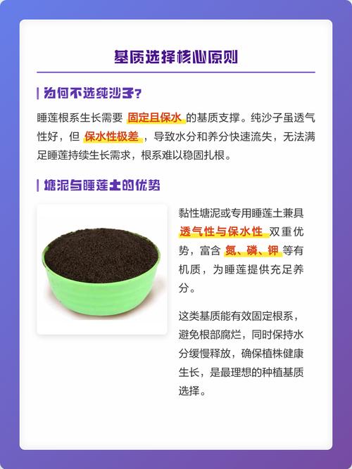 睡莲可以种在沙子里吗?全面解析睡莲种植基质与操作要点 五、常见问题与对策