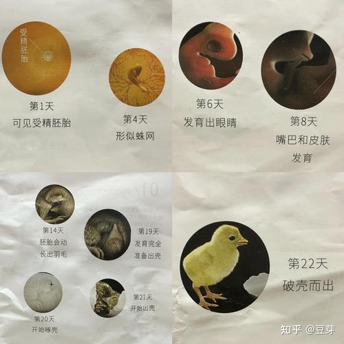 一、标准周期：120~150天是主流