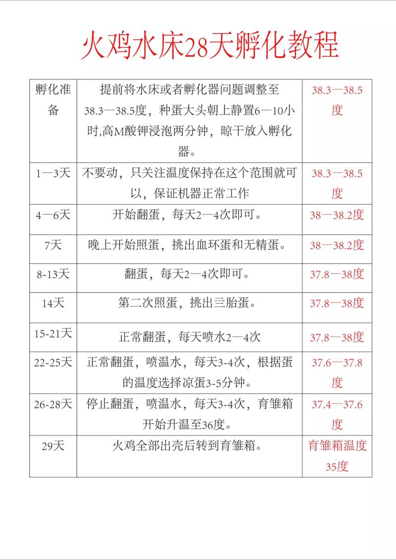 二、四个关键阶段的时间节点
