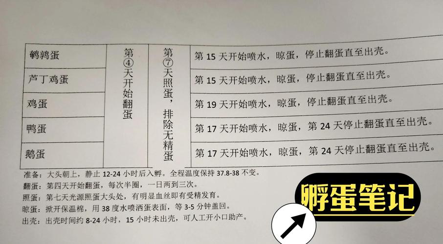 三、影响开产天数的核心因素