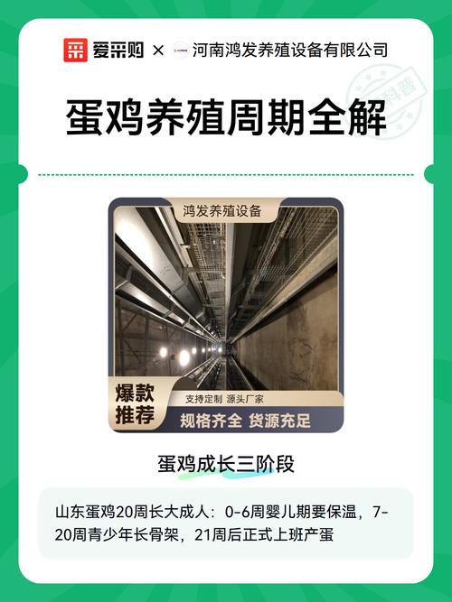 结语