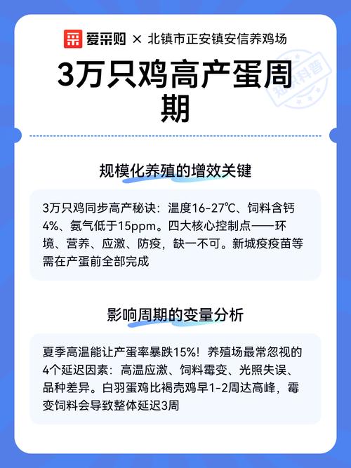 五、常见误区提醒