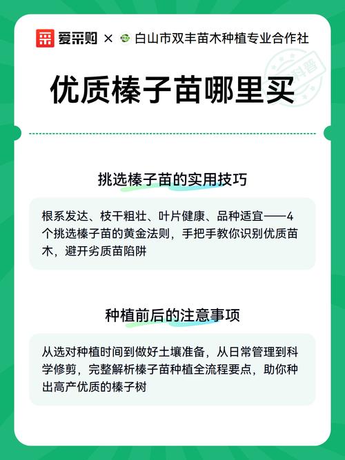 榛子苗哪里买?一份科学严谨的采购渠道评估指南 第五步:检疫与售后——最后一道防线