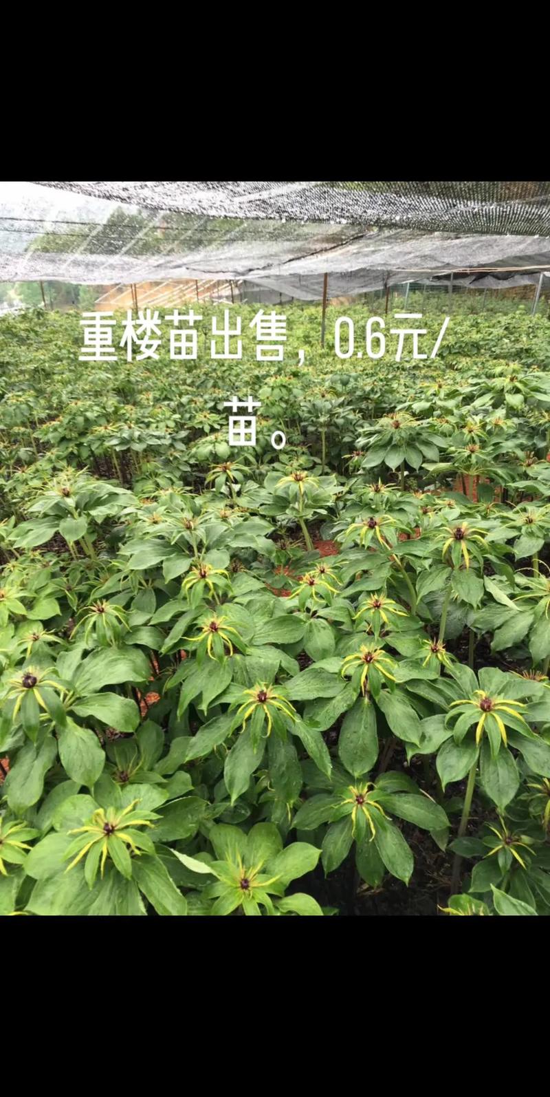 价格汇总表格：不同场景下的参考区间