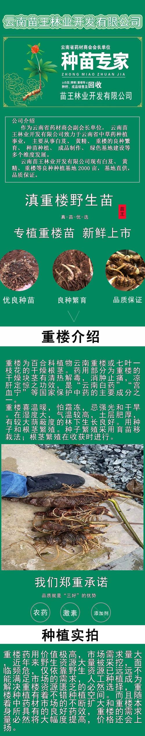咨询指南：获取您的专属报价