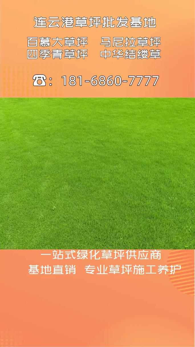 马尼拉草坪一平多少钱?2026年价格参考与影响因素全解析 总结与咨询指南