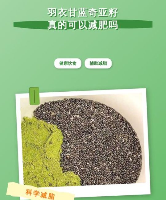 羽衣甘蓝奇亚籽真的可以减肥吗？营养师揭秘科学吃法与搭配建议