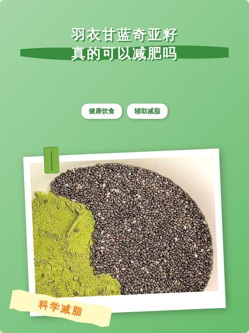 羽衣甘蓝奇亚籽真的可以减肥吗?营养师揭秘科学吃法与搭配建议 羽衣甘蓝奇亚籽真的可以减肥吗?营养师揭秘科学吃法与搭配建议