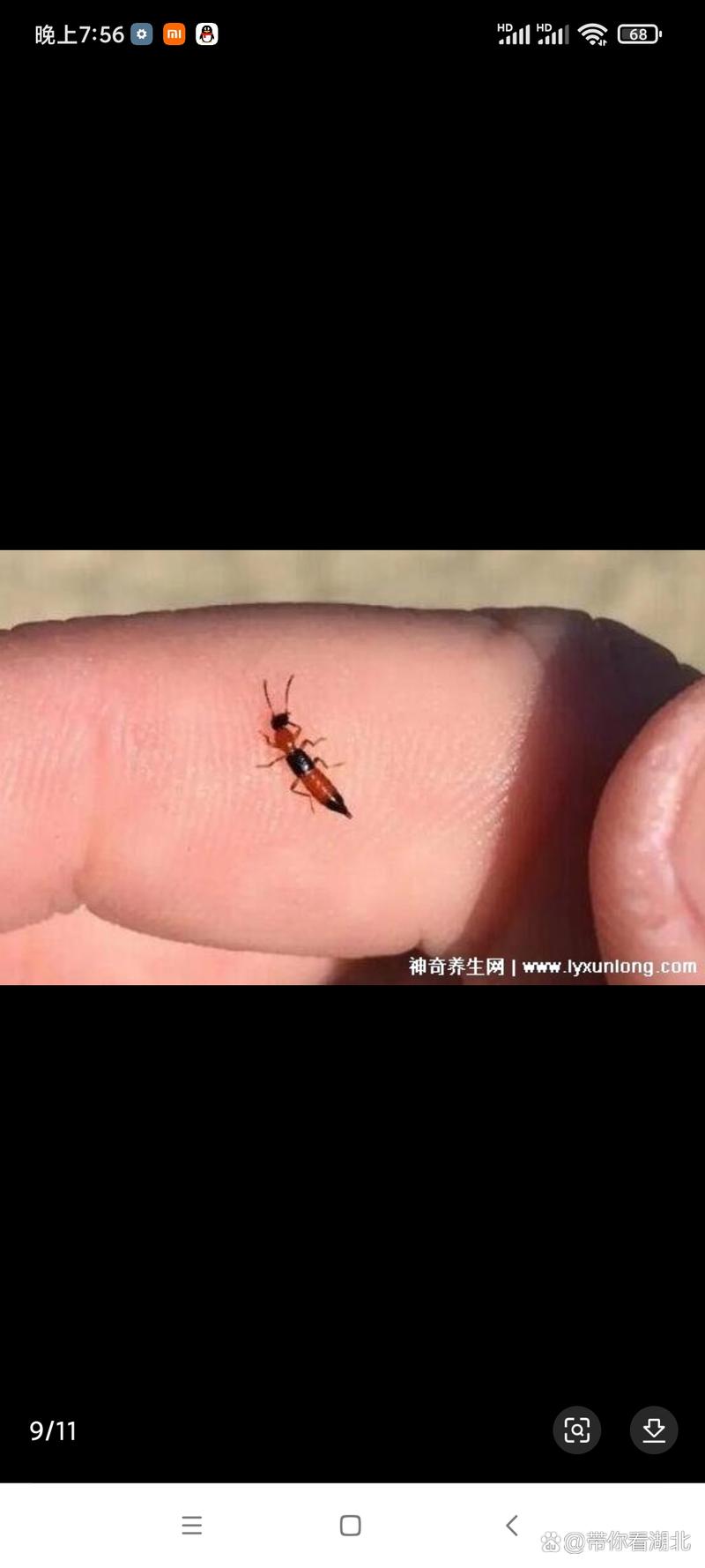 二、快速处理：三步走，分情况解决