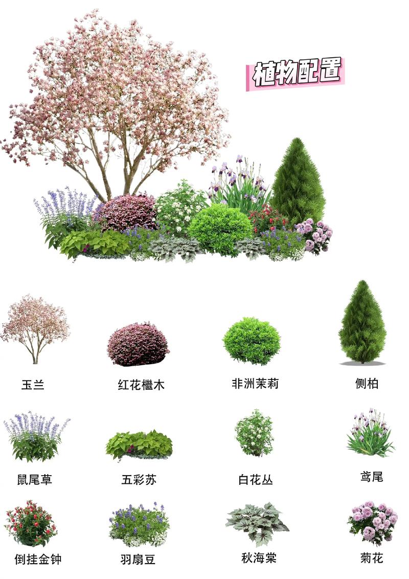 庭院适合种植什么树木?新手必看的选种与养护指南 总结