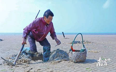 人工养殖沙虫苗采购渠道评估指南：如何科学筛选优质供应商