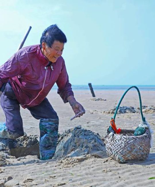 人工养殖沙虫苗采购渠道评估指南：如何科学筛选优质供应商
