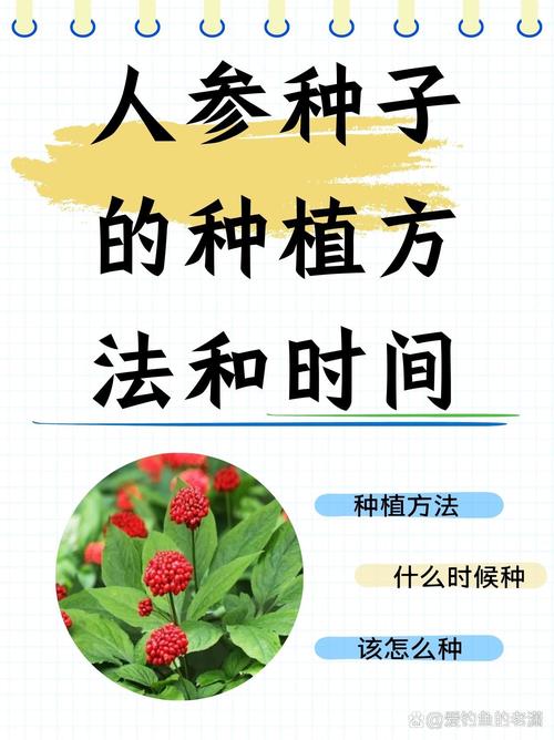 人参好种植吗?从选地到成活的全流程技术指南 二、土壤环境