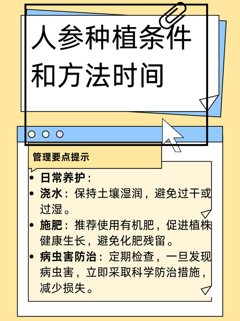 人参好种植吗?从选地到成活的全流程技术指南 四、栽植深度