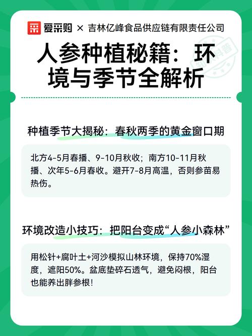 人参好种植吗?从选地到成活的全流程技术指南 七、成活注意事项
