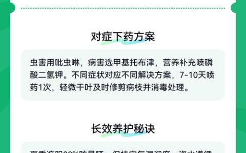 桂花树干叶子怎么办？一文读懂原因与拯救方案