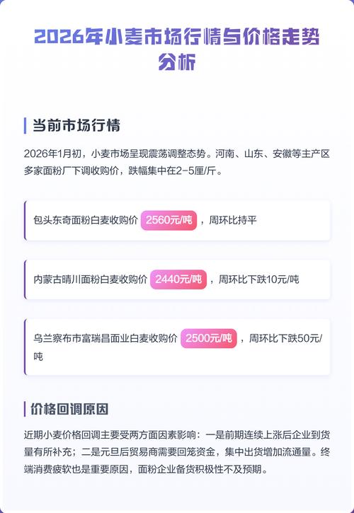 小麦价格多少钱一斤?2026年最新市场行情与影响因素分析 采购数量影响