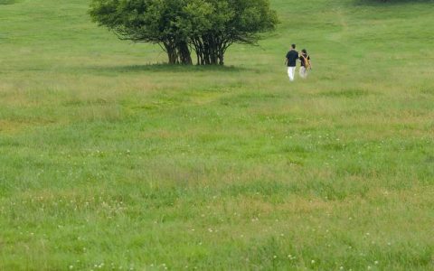仙女山草坪在哪里？｜品种鉴定与高海拔养护全流程指南