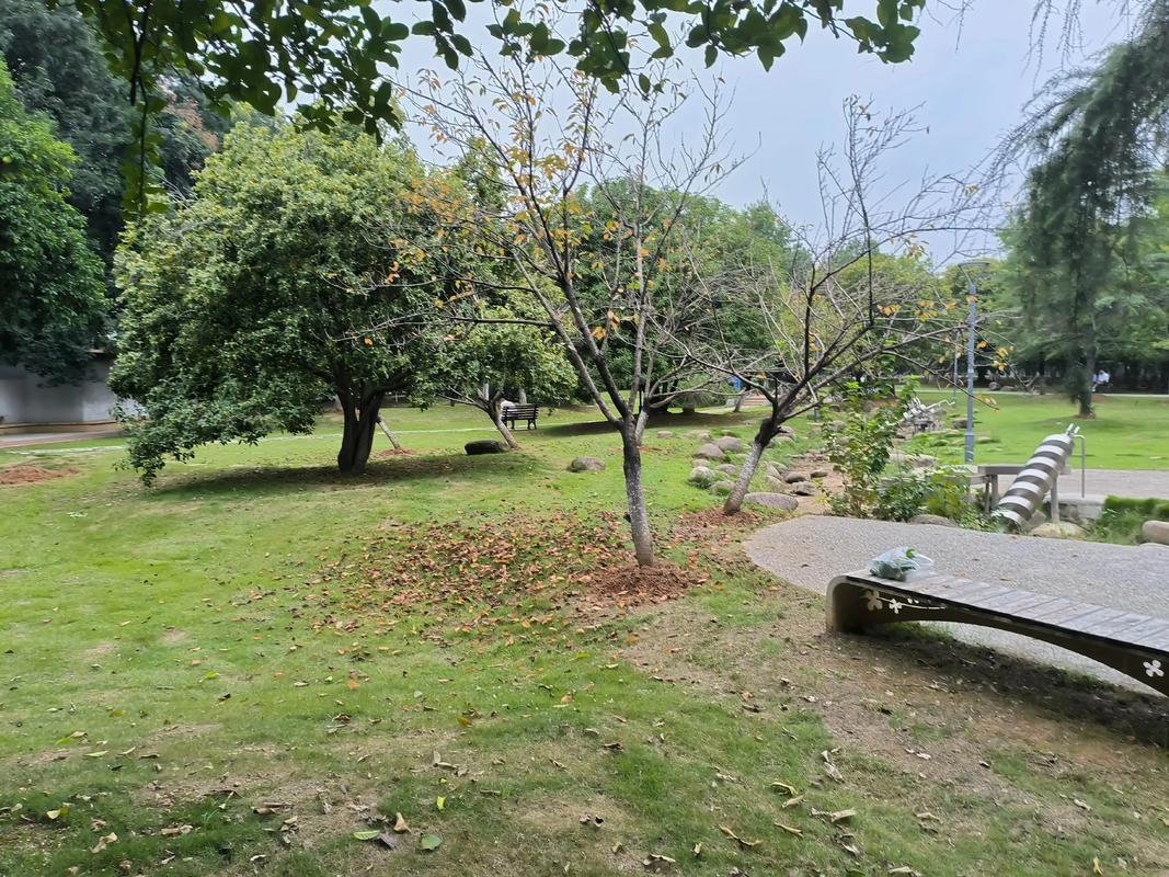 桂花之外的温泉园林启示