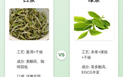 白茶和绿茶有什么区别？6大维度深度对比与选购指南