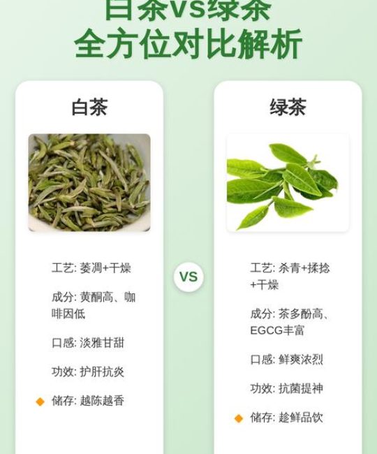白茶和绿茶有什么区别？6大维度深度对比与选购指南