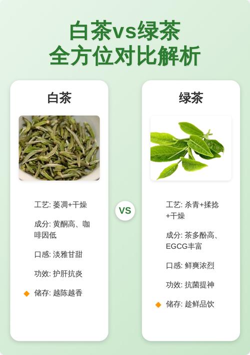 白茶和绿茶有什么区别?6大维度深度对比与选购指南 白茶和绿茶有什么区别?6大维度深度对比与选购指南