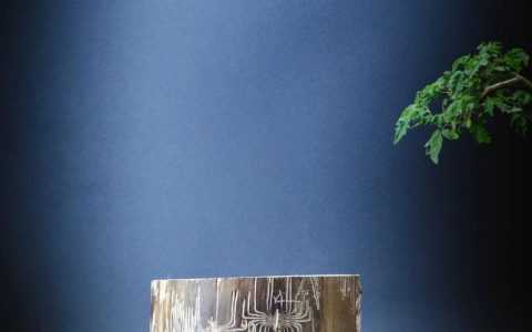 金丝楠木虫纹有价值吗？——从园艺观赏与木材美学谈开去