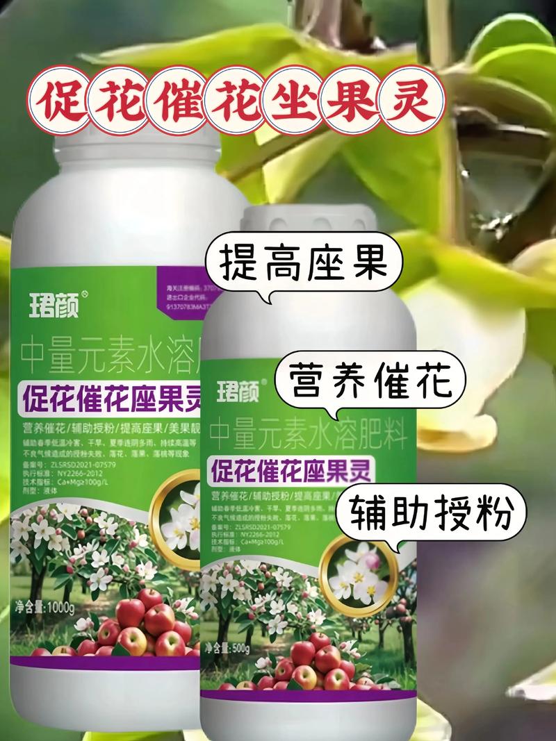 促花促果施肥步骤（可执行方案）