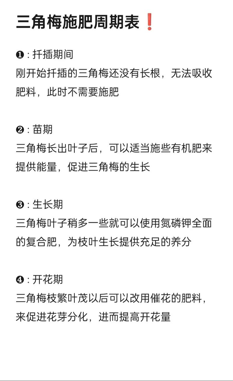 总结