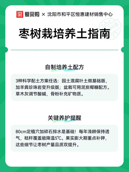家里可以栽枣树吗?科学选址与养护指南 庭院地栽要点:根系安全是首要考量,距房屋基础不得少于3米