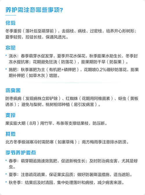 家里可以栽枣树吗?科学选址与养护指南 阳台盆栽方案:容器选择与冬季防寒决定成败