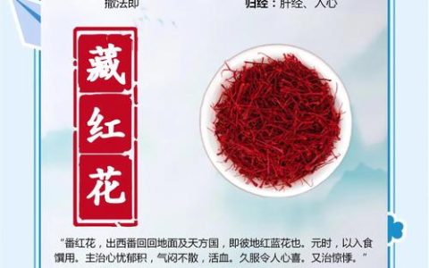 藏红花球茎采购指南：如何科学筛选批发渠道