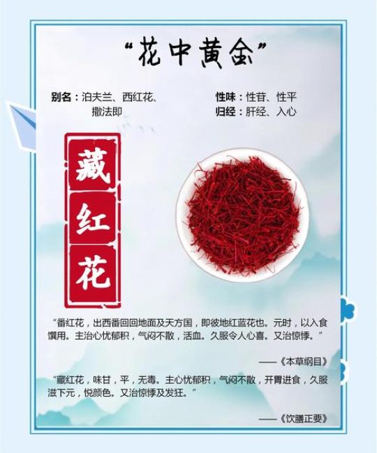 藏红花球茎采购指南：如何科学筛选批发渠道