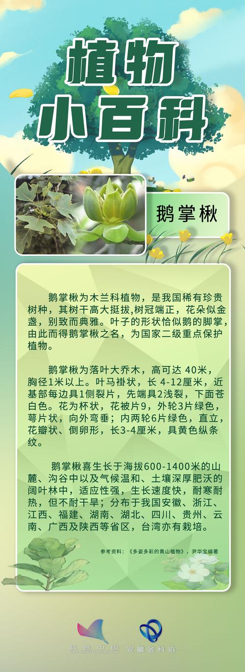 草本植物是什么?园艺爱好者的必备知识 园艺中草本植物的应用场景