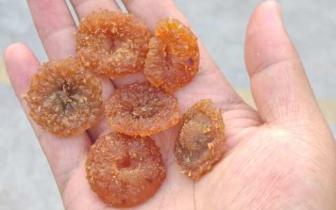 刺梨干多少钱一斤？产地、规格与采购量对报价的影响分析