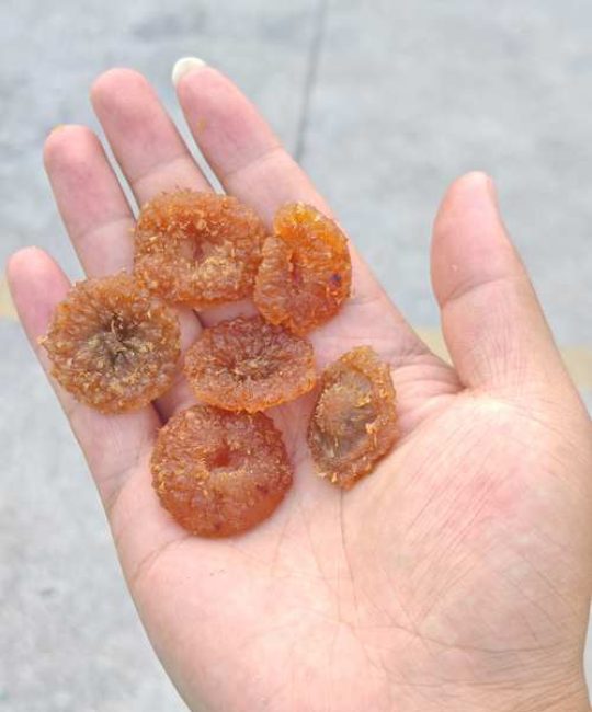 刺梨干多少钱一斤？产地、规格与采购量对报价的影响分析