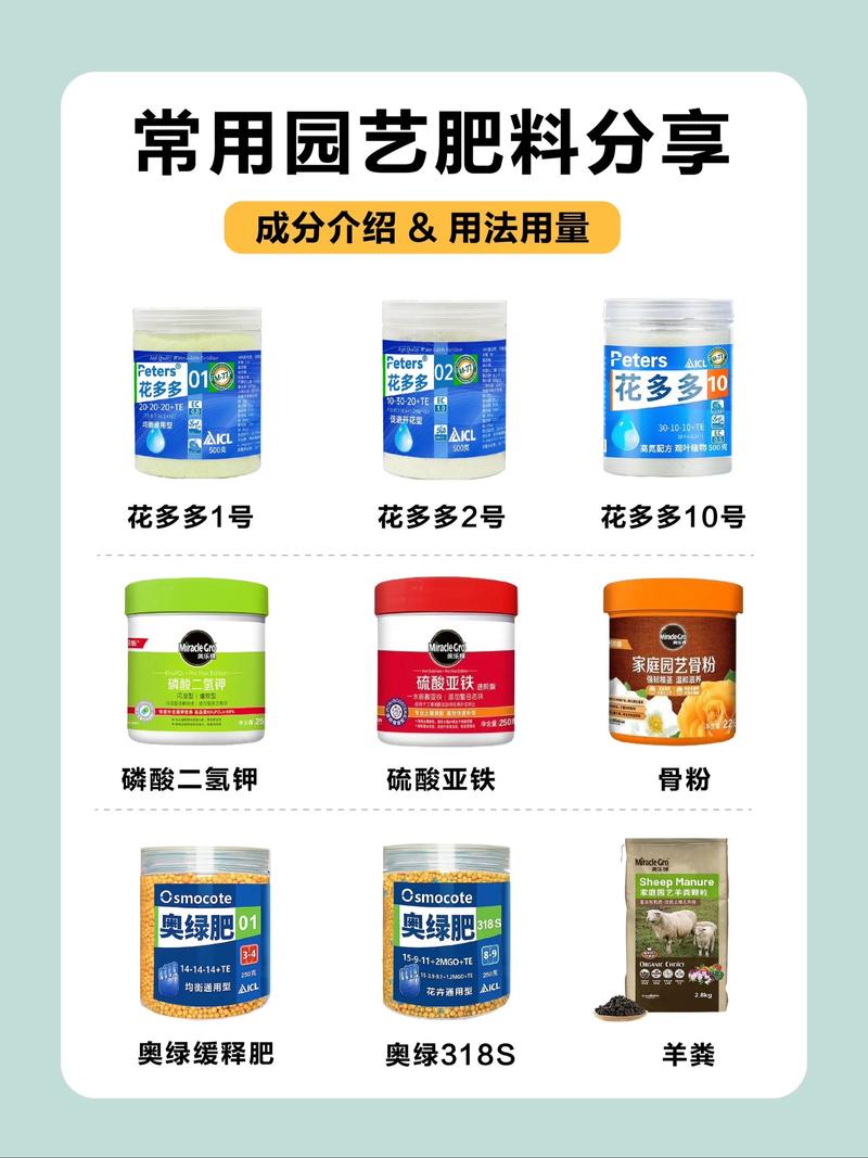 修剪：施肥配合修剪，养分集中更高效